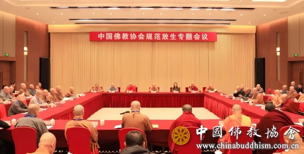 �й����Э���ھ��ٿ��淶����ר�����